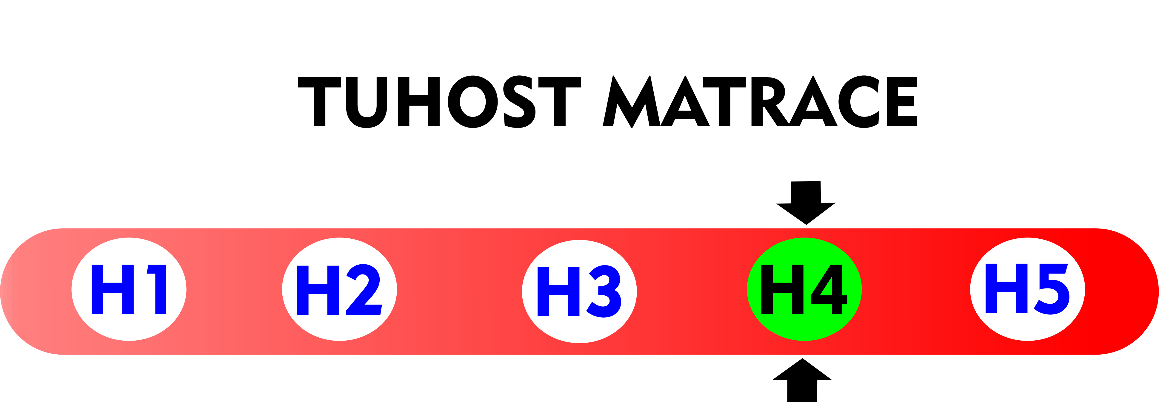 tuhost ,4